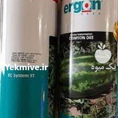 بذر هندوانه ارگون در گروه خرید فروش بذر - انواع محصول کشاورزی گوجه کتان میوه درخت در یکمیوه -عکس1