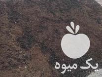 فروش کود حیوانی خشک در گروه خرید و فروش کود حیوانی در یکمیوه -عکس1