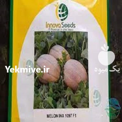 بذر ملون دلتا در گروه خرید فروش بذر - انواع محصول کشاورزی گوجه کتان میوه درخت در یکمیوه -عکس1