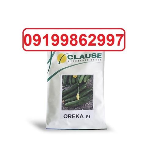 قیمت خرید بذر خیار اورکا با کیفیت بالا در خوزستان در گروه خرید و فروش بذر خیار در یکمیوه -عکس1