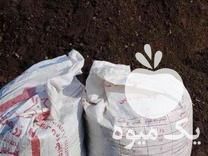 فروش کود گوسفندی خشک کیسه ای در گروه خرید و فروش کود گوسفندی در یکمیوه -عکس1