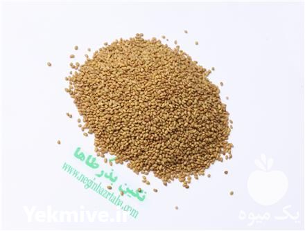 قیمت خرید بذر شبدر برسیم در ایلخچی در گروه خرید و فروش انواع بذر در یکمیوه -عکس1