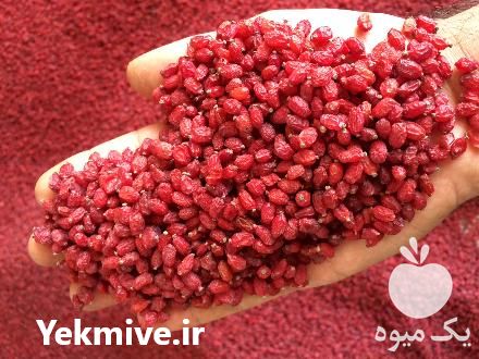 زرشک خرید و کلی انواع زرشک در مشهد در گروه خرید و فروش زرشک در یکمیوه -عکس1