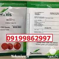 قیمت خرید قیمت بذر گوجه فرنگی برنتا در گروه خرید و فروش بذر گوجه در یکمیوه