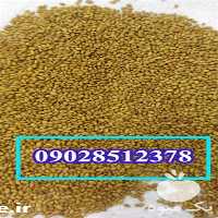 آگهی مشابه قیمت خرید قیمت بذر یونجه در اصفهان در گروه خرید و فروش بذر یونجه در یکمیوه