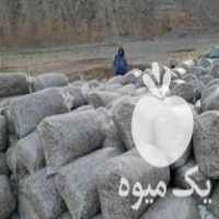 قیمت خرید ذرت علوفه ای پردان فله و بسته بندی در زنجان در گروه خرید و فروش ذرت در یکمیوه