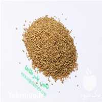 قیمت خرید بذر شبدر برسیم در ایلخچی در گروه خرید و فروش انواع بذر در یکمیوه