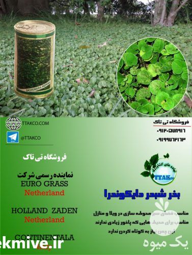 قیمت خرید بذرچمن در اصفهان در گروه خرید و فروش بذر چمن در یکمیوه -عکس1