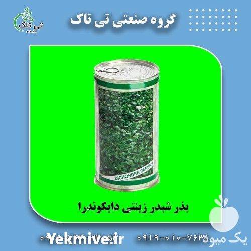 فروش بذر شبدر دایکوندرا در اصفهان در گروه خرید و فروش انواع بذر در یکمیوه -عکس1