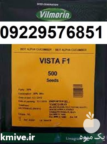 فروش بذر خیار ویستا پربار اصل در گروه خرید و فروش بذر خیار در یکمیوه -عکس1