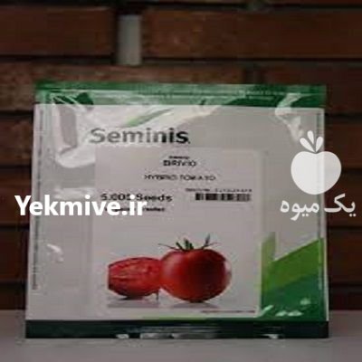 بذر گوجه فرنگی بریویو در پارس آباد در گروه خرید فروش بذر - انواع محصول کشاورزی گوجه کتان میوه درخت در یکمیوه -عکس1