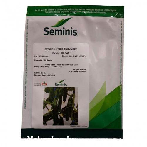 فروش بذر خیار سلطان در گروه خرید و فروش بذر خیار در یکمیوه -عکس1