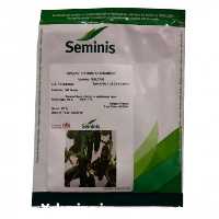 فروش بذر خیار سلطان در گروه خرید و فروش بذر خیار در یکمیوه