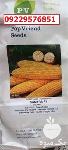 بذر ذرت سمیرا پرفروش اصل در گروه خرید و فروش بذر ذرت در یکمیوه -عکس1