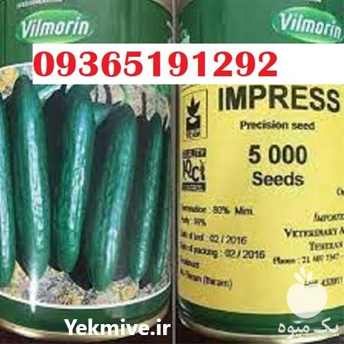 قیمت خرید بذر خیار ویلمورین قیمت خوب و عالی در کرمان  در گروه خرید و فروش بذر خیار در یکمیوه -عکس1