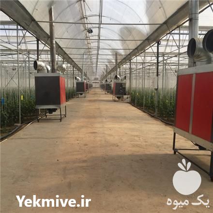 فروش گلخانه فلزی گالوانیزه در گروه خرید و فروش سوله و سازه گلخانه در یکمیوه -عکس1