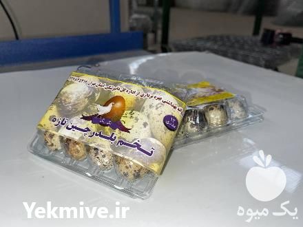 قیمت خرید تخم بلدرچین تازه در گروه انواع تخم ها در یکمیوه -عکس1