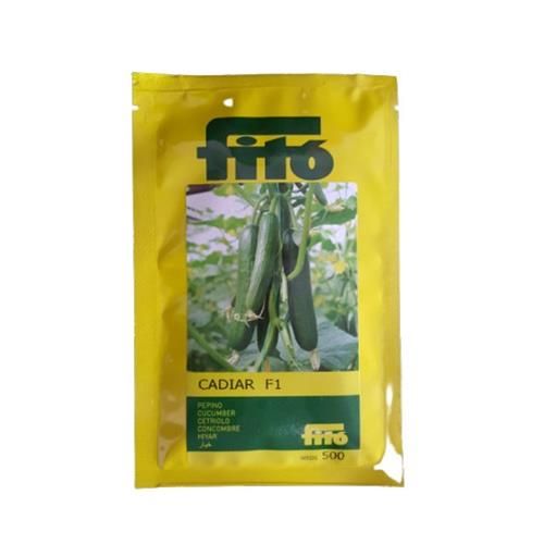 قیمت خرید عرضه بذر خیار گلخانه ای کادیر در اصفهان در گروه خرید و فروش بذر خیار در یکمیوه -عکس1