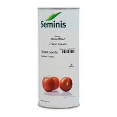 فروش بذر گوجه بلاریوا Bellariva F 1 سمینیس در قم در گروه خرید و فروش بذر گوجه در یکمیوه -عکس1