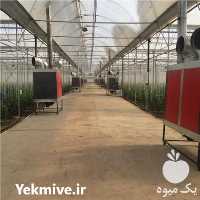 فروش گلخانه فلزی گالوانیزه در گروه خرید و فروش سوله و سازه گلخانه در یکمیوه