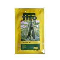 قیمت خرید عرضه بذر خیار گلخانه ای کادیر در اصفهان در گروه خرید و فروش بذر خیار در یکمیوه