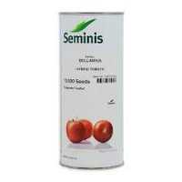 فروش بذر گوجه بلاریوا Bellariva F 1 سمینیس در قم در گروه خرید و فروش بذر گوجه در یکمیوه