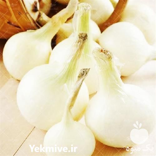 قیمت خرید بذر پیاز آفریگو در گلستان در گروه خرید و فروش بذر پیاز در یکمیوه -عکس1