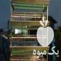 فروش قفس مرغ تخمگذار در آمل در گروه تجهیزات مرغداری در یکمیوه