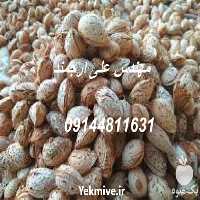 قیمت خرید نهال بادام قیمت مناسب در گروه خرید و فروش نهال بادام در یکمیوه