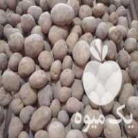 قیمت خرید سیب زمینی خوراکی بذری در گروه خرید و فروش سیب زمینی در یکمیوه