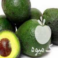 قیمت خرید ده نژاد نهال آووکادو پیوندی گلدانی در ساری در گروه خرید و فروش نهال آووکادو در یکمیوه