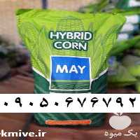 قیمت خرید عرضه بذر ذرت علوفه ای مای در همدان در گروه خرید و فروش بذر ذرت در یکمیوه