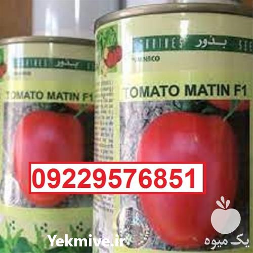 قیمت خرید بذر گوجه فرنگی متین قیمت مناسب در گروه خرید و فروش بذر گوجه در یکمیوه -عکس1