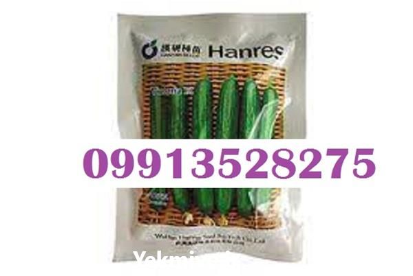 فروش بذر خیار ویکتوریا قیمت عالی در گروه خرید و فروش بذر خیار در یکمیوه -عکس1