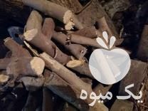 فروش چوب انجیر سیب وتوت وانار و در چهاربرج در گروه خرید و فروش انواع چوب در یکمیوه -عکس1