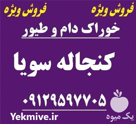 فروش کنجاله سویا در گروه خرید و فروش سویا در یکمیوه -عکس1