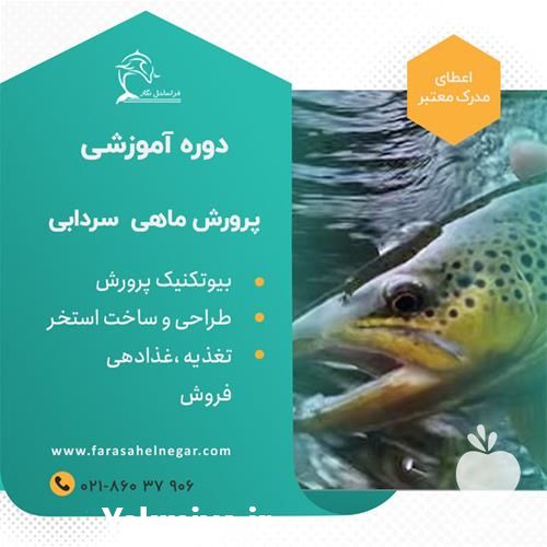 فروش آموزش صفر تا صد پرورش ماهی قزل آلا در گروه خرید و فروش انواع ماهی در یکمیوه -عکس1