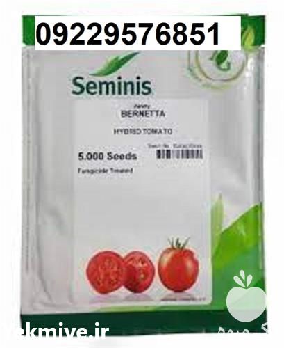 قیمت خرید قیمت بذر گوجه فرنگی برنتا در ایلام در گروه خرید و فروش بذر گوجه در یکمیوه -عکس1