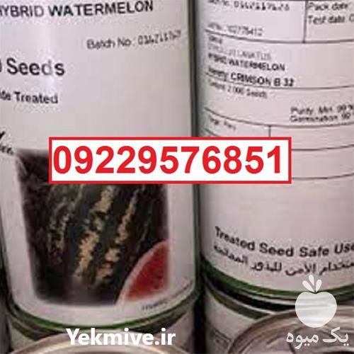 بذر هندوانه b 32 پرفروش اصل در ایلام در گروه خرید و فروش بذر هندوانه در یکمیوه -عکس1