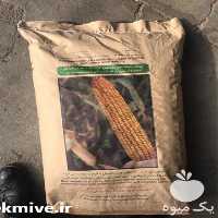 فروش بذر ذرت مغان در گروه خرید و فروش بذر ذرت در یکمیوه