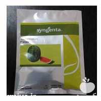 قیمت خرید بذر هندوانه فارائو در همدان در گروه خرید و فروش بذر هندوانه در یکمیوه