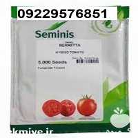 قیمت خرید قیمت بذر گوجه فرنگی برنتا در ایلام در گروه خرید و فروش بذر گوجه در یکمیوه