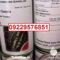 بذر هندوانه b 32 پرفروش اصل در ایلام در گروه خرید و فروش بذر هندوانه در یکمیوه