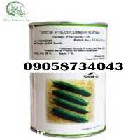 فروش قیمت بذر خیار در گروه خرید و فروش بذر خیار در یکمیوه