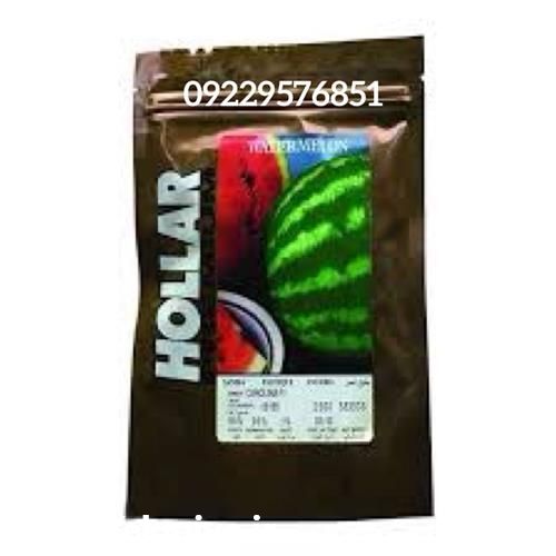 فروش بذر هندوانه هولار در گروه خرید و فروش بذر هندوانه در یکمیوه -عکس1