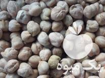 فروش نخود زودپز عالی بشرط پخت در گل تپه در گروه خرید و فروش نخود در یکمیوه -عکس1