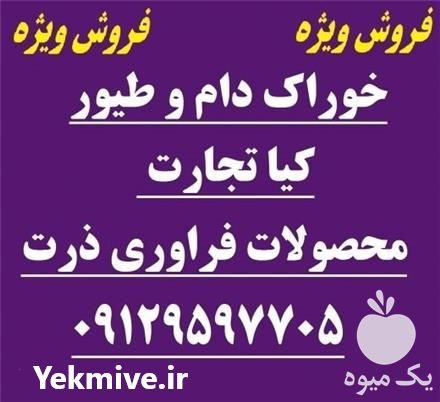 فروش محصولات فراوری ذرت در گروه خرید و فروش ذرت در یکمیوه -عکس1