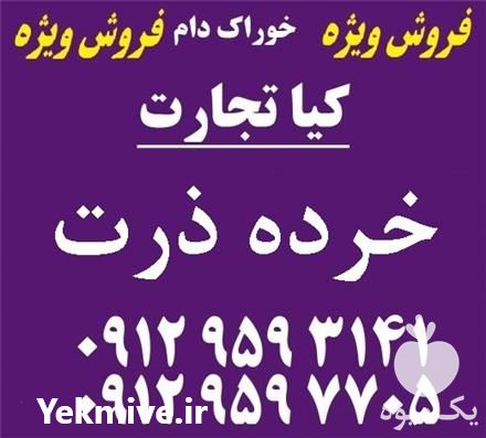 قیمت خرید خرده ذرت در گروه خرید و فروش ذرت در یکمیوه -عکس1