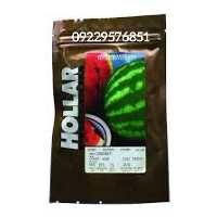 فروش بذر هندوانه هولار در گروه خرید و فروش بذر هندوانه در یکمیوه