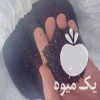 قیمت خرید سیاهدانه ایرانی در اصفهان در گروه خرید و فروش گیاهان دارویی در یکمیوه